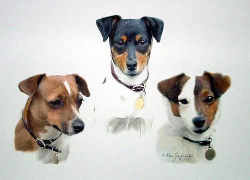 www.dogeart.com