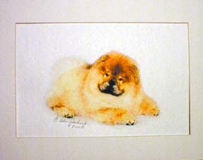 Chow Chow Pup Prone